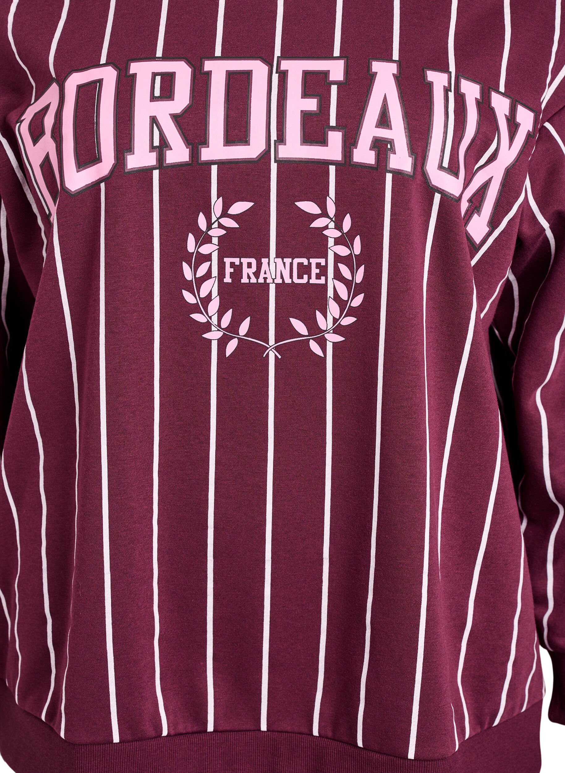 Zizzi Gestreiftes Sweatshirt mit Textaufdruck, Rot, Packshot image number 2