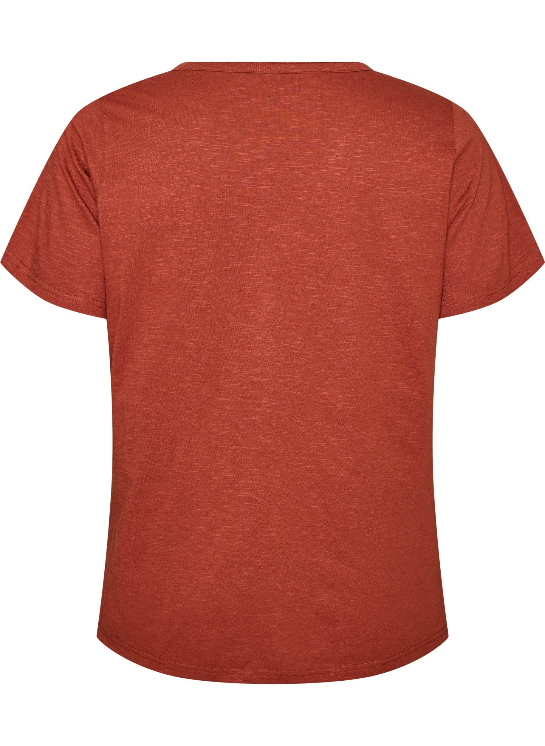 ZizziT-Shirt mit Knopfleiste, Braun, Packshot image number 1
