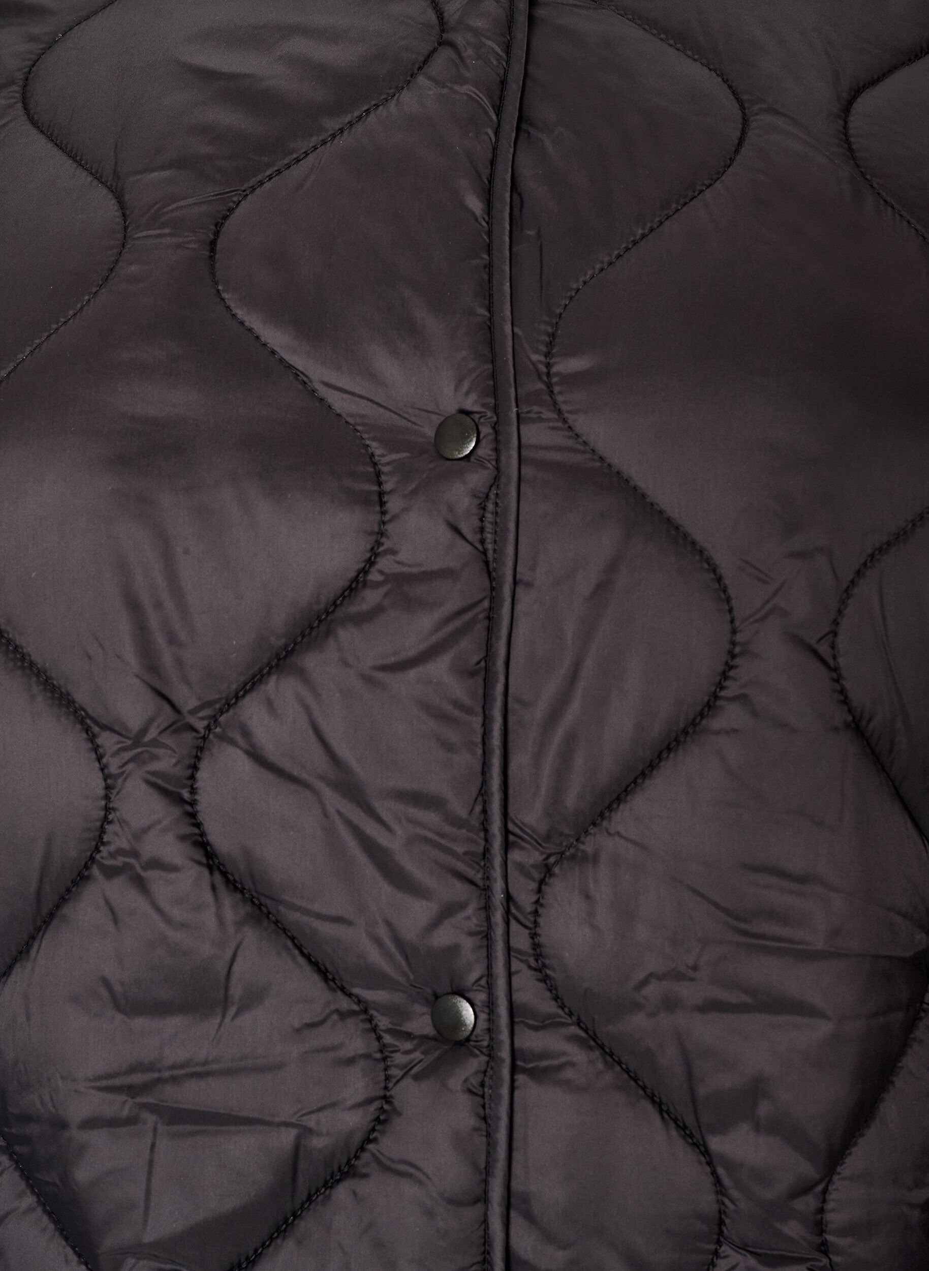 ZizziSteppjacke mit Druckkn&ouml;pfen und Rundhalsausschnitt, Schwarz, Packshot image number 2