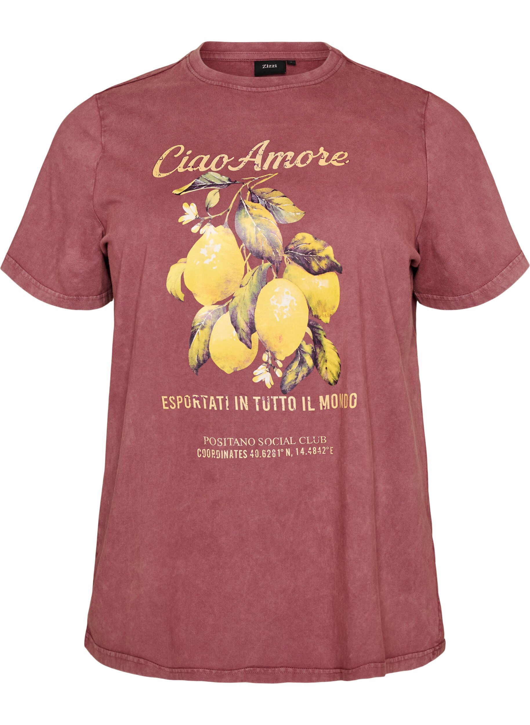 ZizziBaumwoll-T-Shirt mit Frontprint und gewaschener Optik, Rot, Packshot image number 0