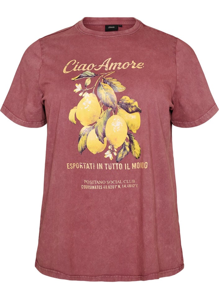 Baumwoll-T-Shirt mit Frontprint und gewaschener Optik, Rot, Packshot image number 0