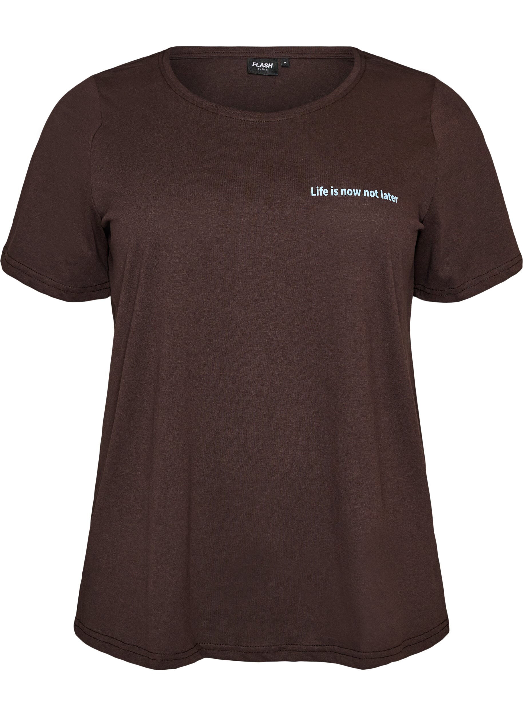ZizziT-Shirt mit Print, Braun, Packshot image number 0