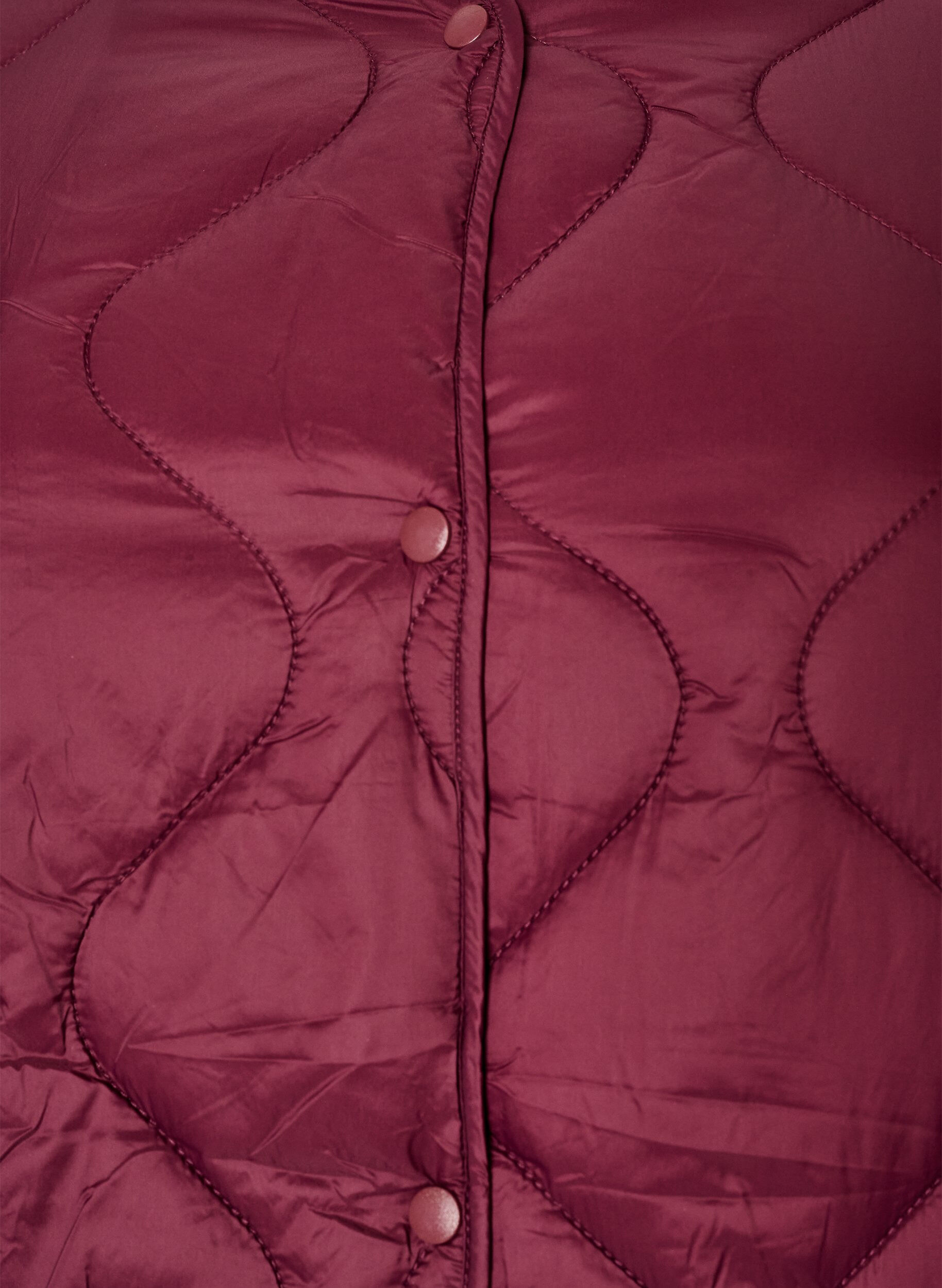 ZizziSteppjacke mit Druckkn&ouml;pfen und Rundhalsausschnitt, Dunkles Bordeaux, Packshot image number 2