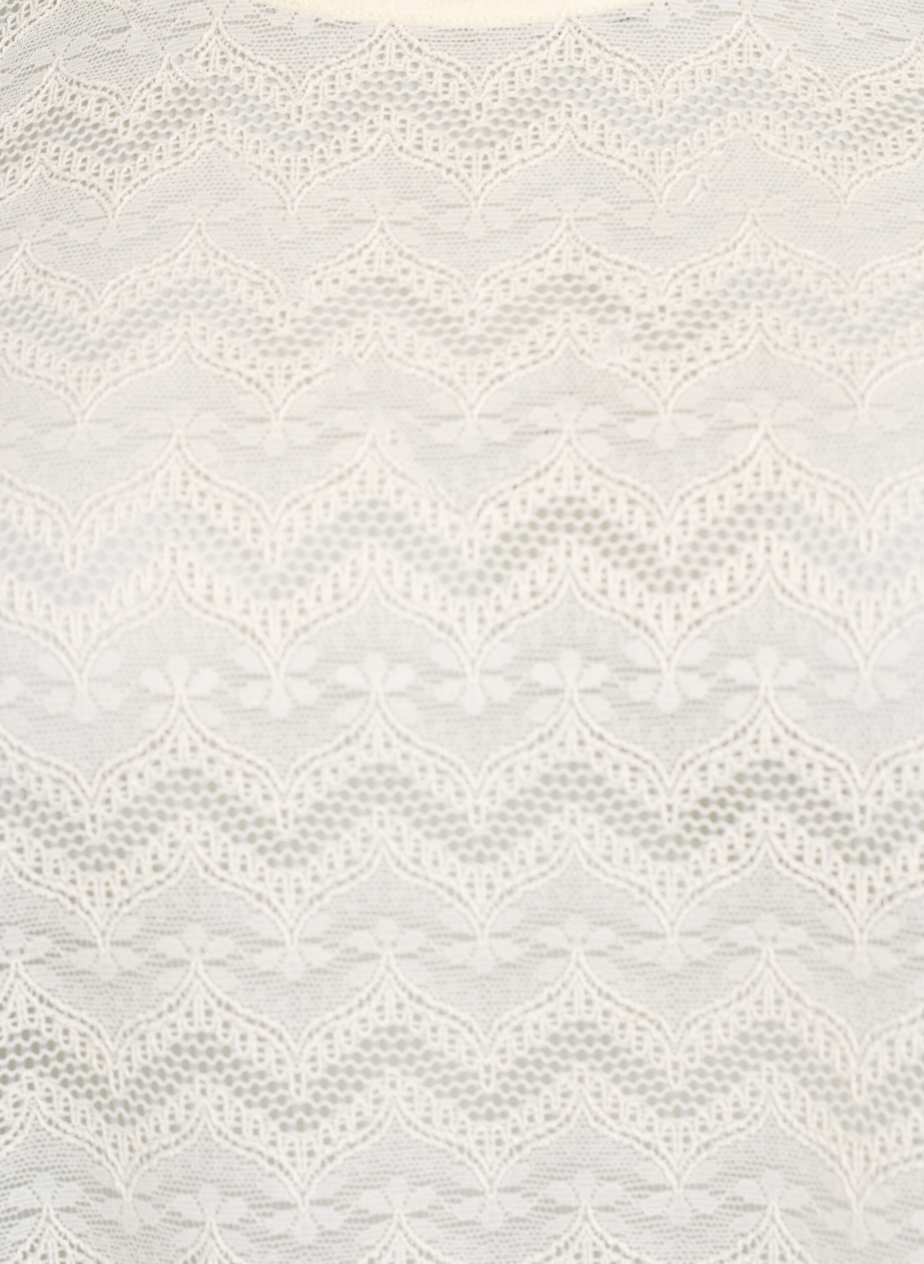 Zizzi Spitzenbluse mit kurzen &Auml;rmeln und wellenf&ouml;rmigem Saum, Vanille, Packshot image number 2