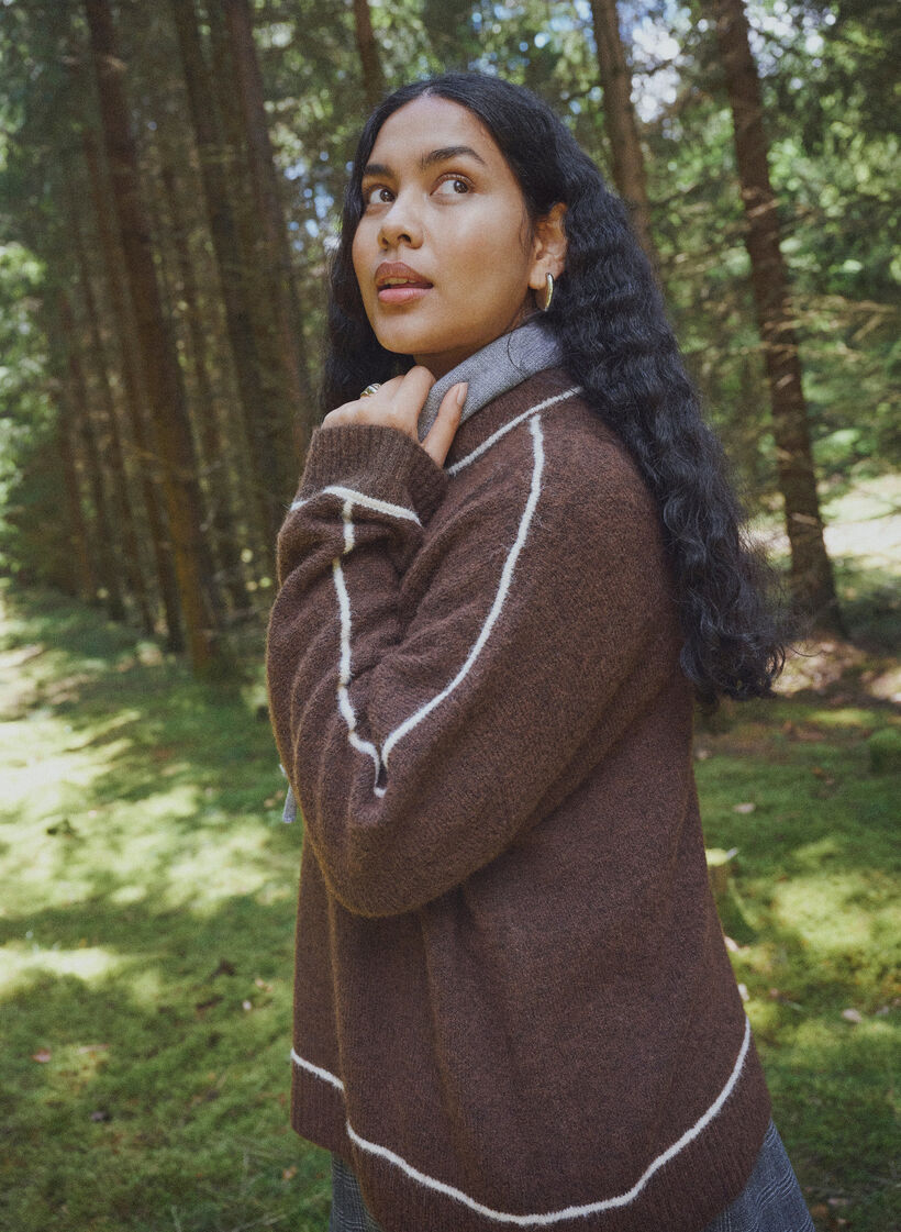 Strickpullover mit Rollkragen und Kontraststreifen, Braun, Image image number 0