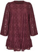 Spitzenkleid mit langen &Auml;rmeln und R&uuml;schensaum, Dunkles Bordeaux, Packshot image number 0