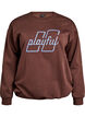 Sweatshirt mit gesticktem Text, Braun, Packshot image number 0