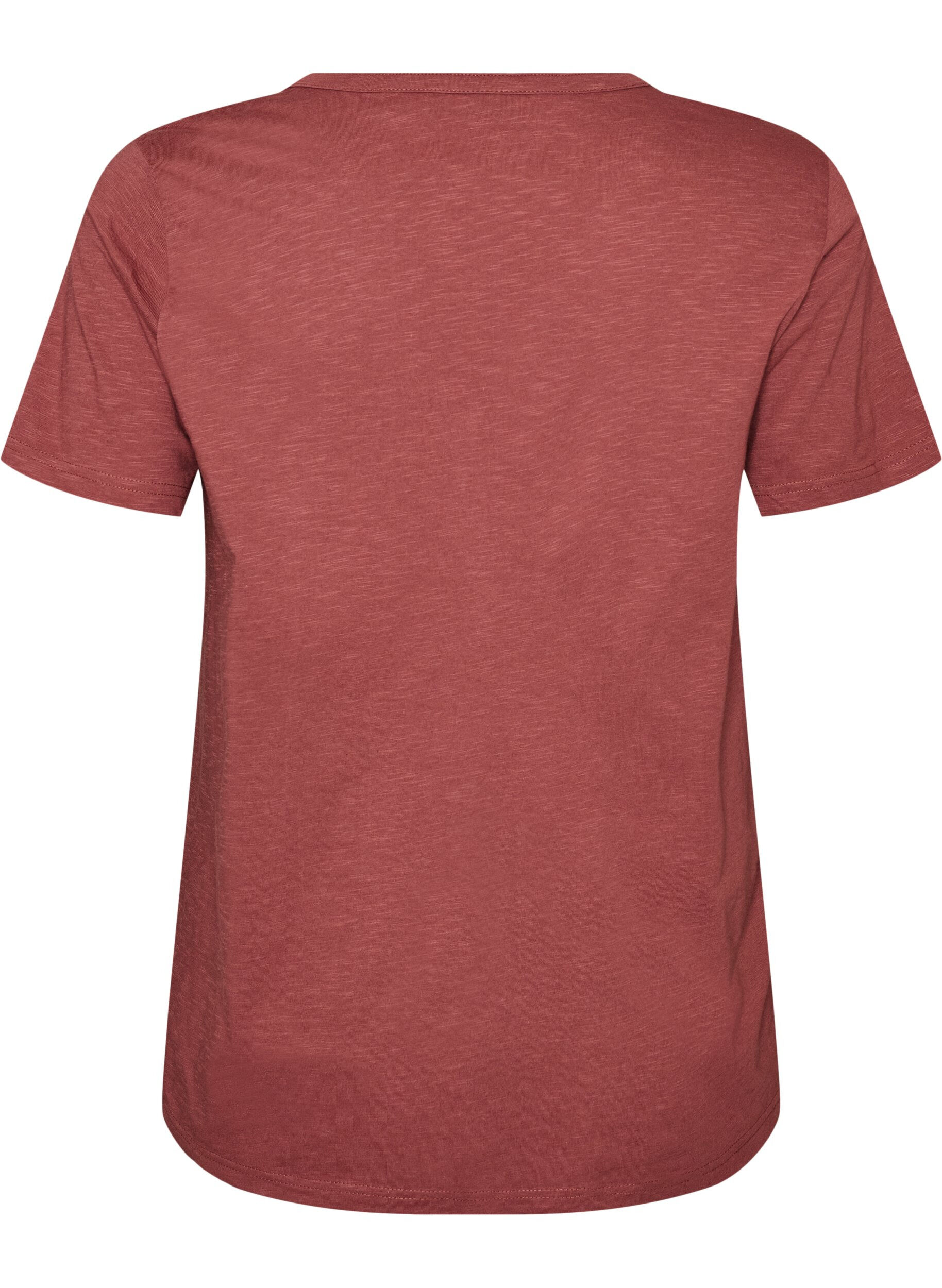 ZizziT-Shirt mit Knopfleiste, Braun, Packshot image number 1