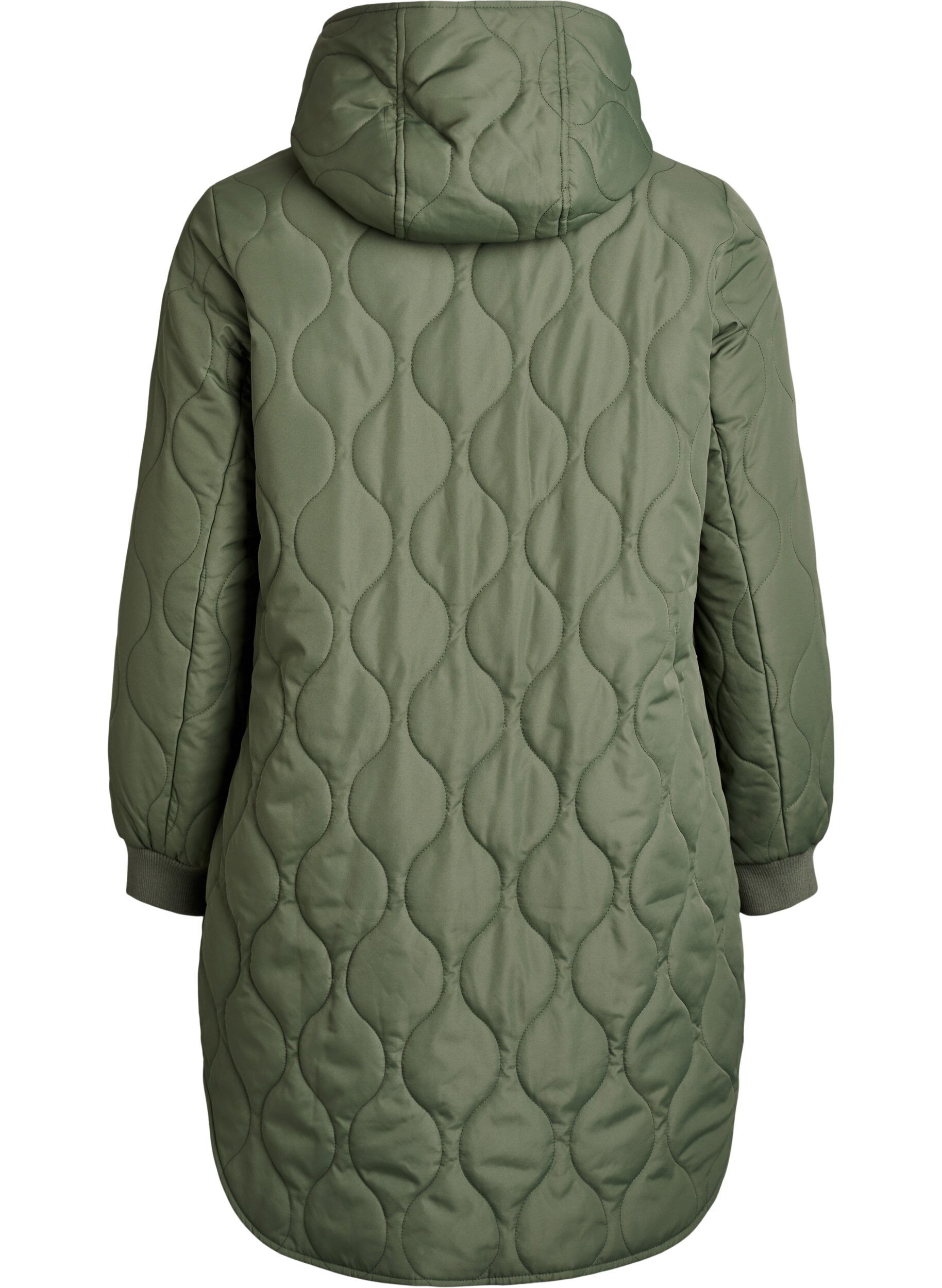 Zizzi Mittellange Steppjacke mit Kapuze, Gr&uuml;n, Packshot image number 1