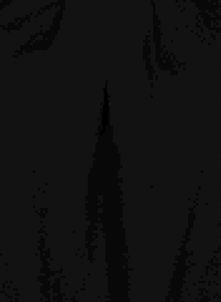 Top mit Spitzensaum, Black, Packshot image number 2