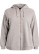 Hoodie mit Rei&szlig;verschluss, Grau, Packshot image number 0