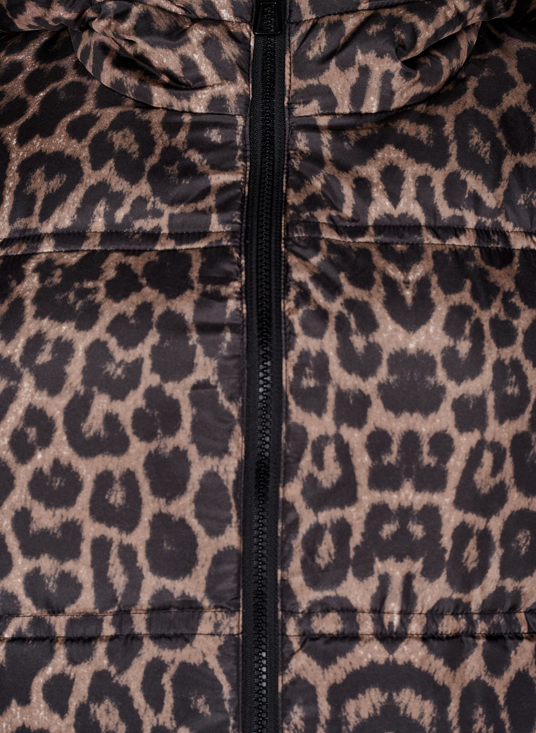 Zizzi Kurze Steppjacke mit Kapuze und Zwei-Wege-Rei&szlig;verschluss, Schwarz, Packshot image number 2