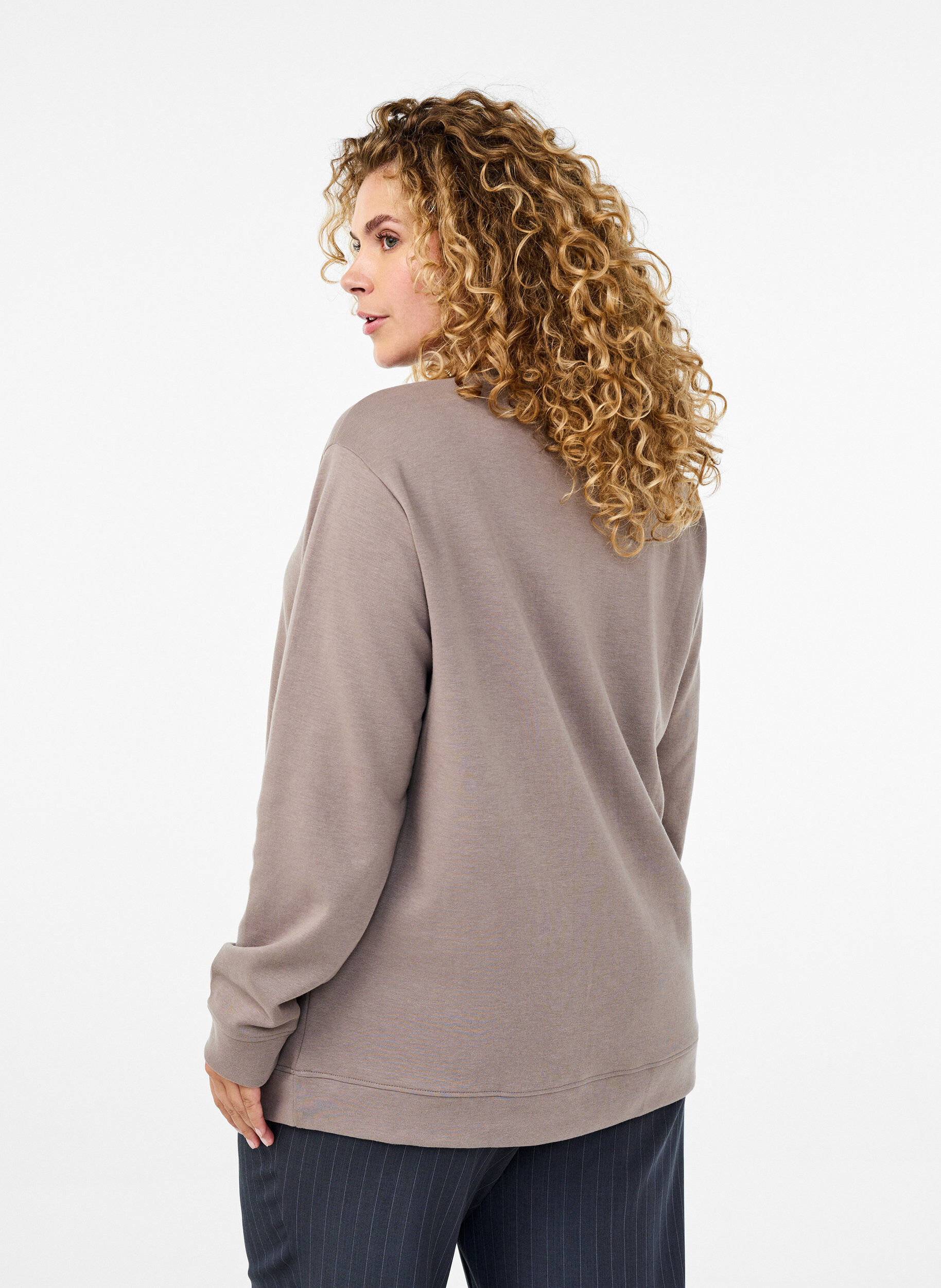 Zizzi FLASH - Sweatshirt mit Rundhalsausschnitt, Beige, Model image number 2
