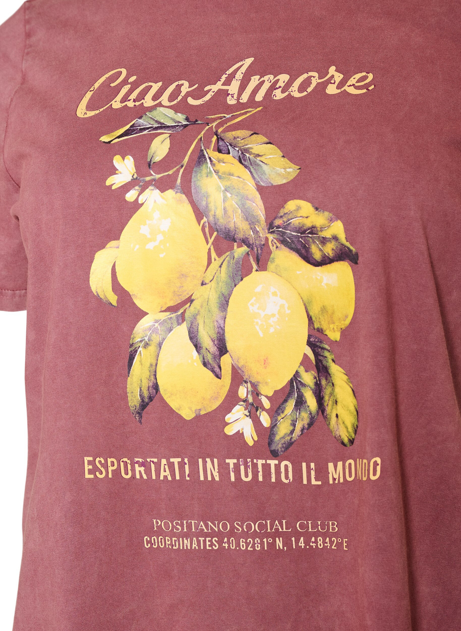 ZizziBaumwoll-T-Shirt mit Frontprint und gewaschener Optik, Rot, Packshot image number 2