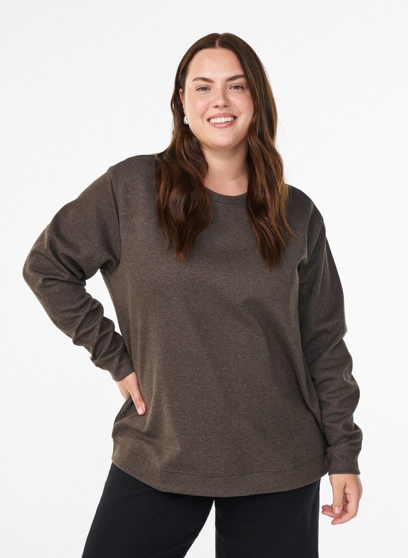 Sweatshirt mit Rundhalsausschnitt, Braun, Model image number 0
