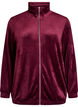 Cardigan aus Velours mit Rei&szlig;verschluss und hohem Kragen, Dunkles Bordeaux, Packshot image number 0