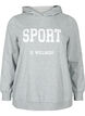 Sweat-Hoodie, Light Grey Melange, Packshot image number 0