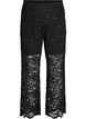 Hoch taillierte Spitzenhose mit geraden Beinen, Schwarz, Packshot image number 0